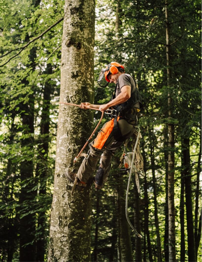 Business Fotografie mit Pajurama – Bisch Not am Maa GmbH – Bild 19 | Handwerksbetrieb Schweiz