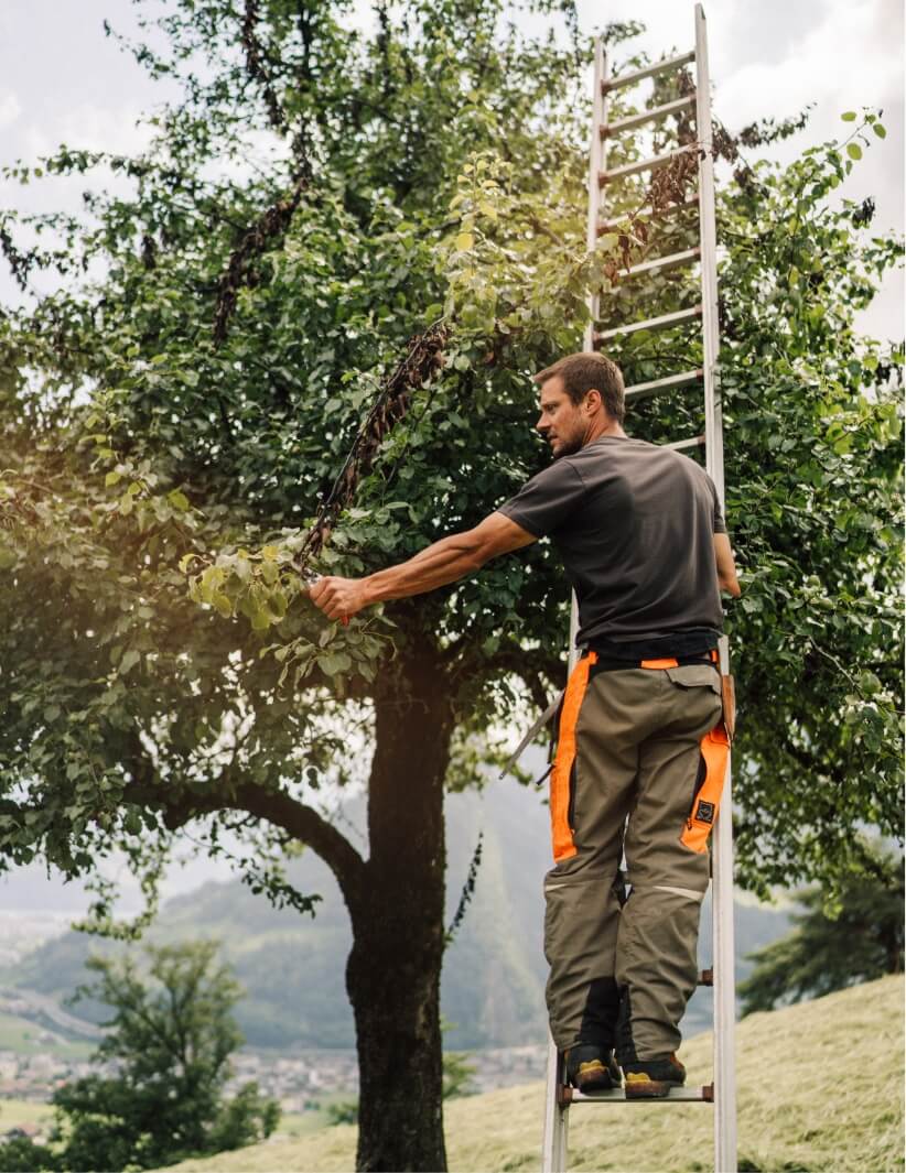 Business Fotografie mit Pajurama – Bisch Not am Maa GmbH – Bild 23 | Handwerksbetrieb Schweiz